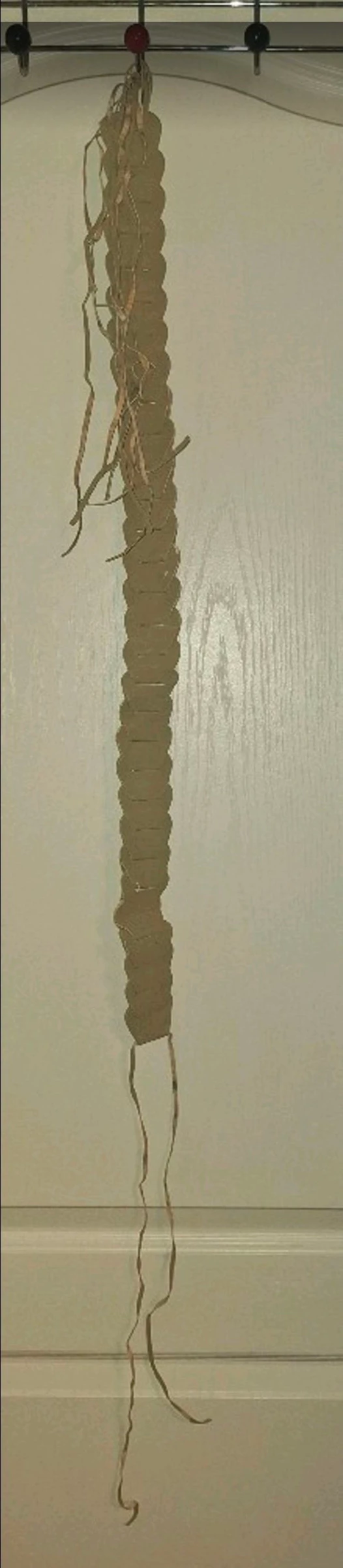 Ceinture 81 cm